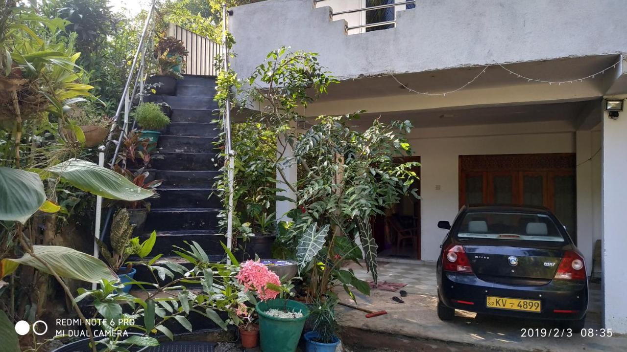Nature Home Mirissa Buitenkant foto